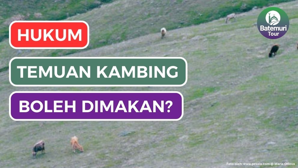 Hukum Penemuan Barang dalam Islam: Kajian Mengenai Temuan Kambing